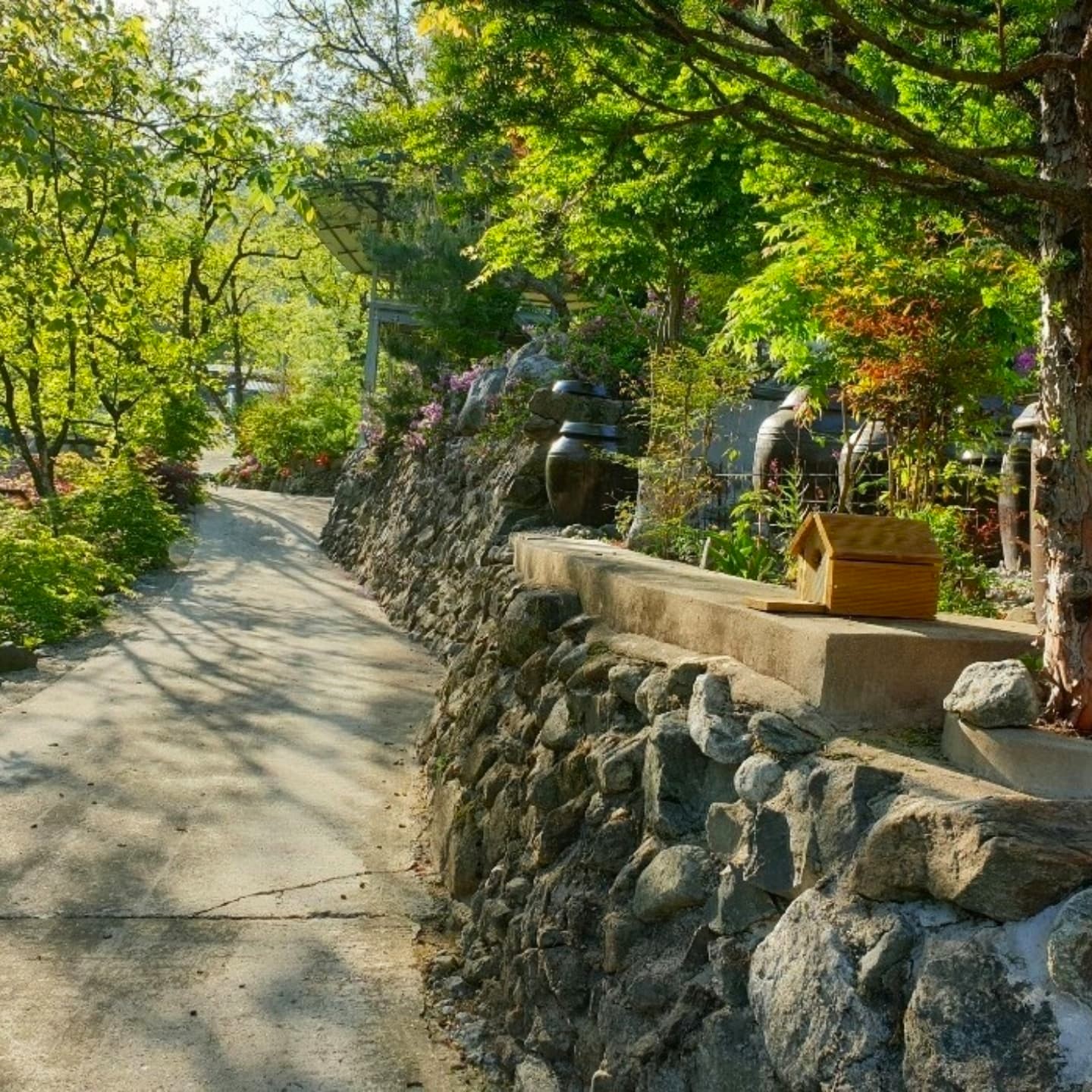 별이 쏟아지는 민박 전경