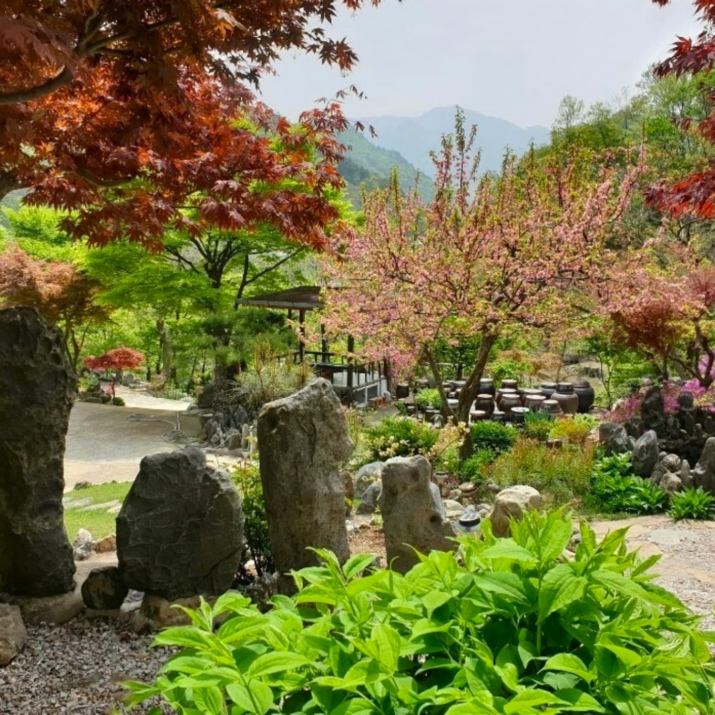 별이 쏟아지는 민박 전경