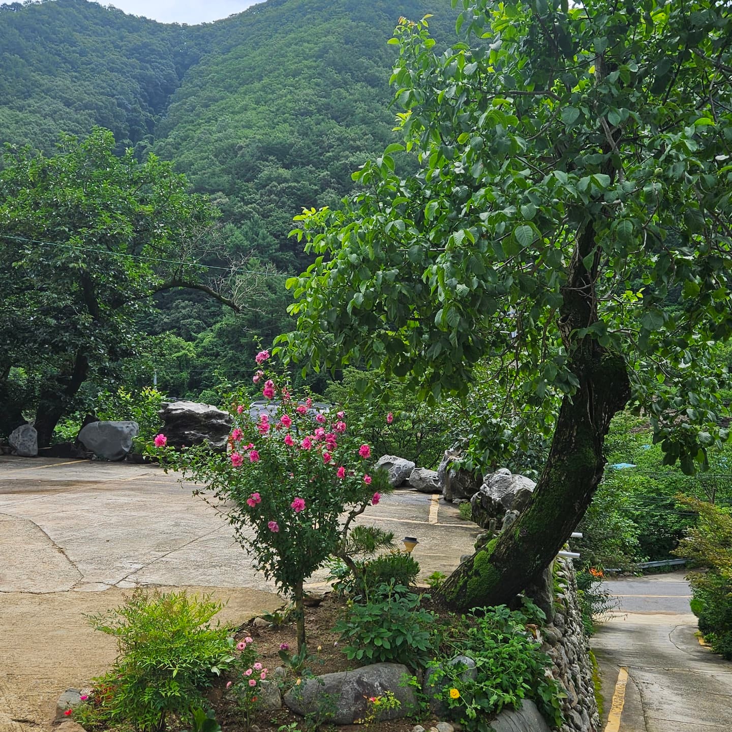 별이 쏟아지는 민박 전경
